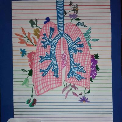 Pulmones