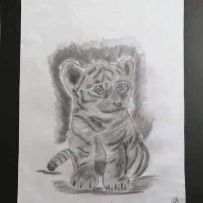 baby tiger